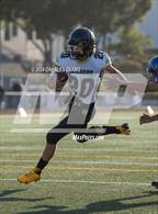 Photo from the gallery "Windsor @ Analy"