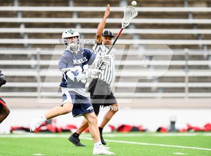 Thumbnail 3 in Bowie @ McNeil photogallery.