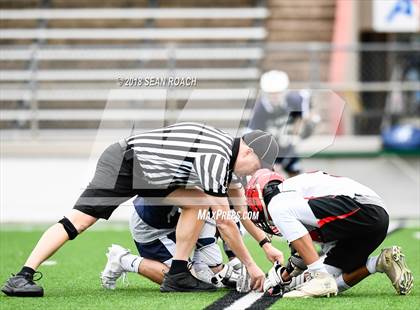 Thumbnail 2 in Bowie @ McNeil photogallery.