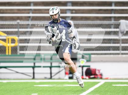 Thumbnail 3 in Bowie @ McNeil photogallery.