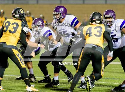 Thumbnail 1 in Warren @ Brennan photogallery.