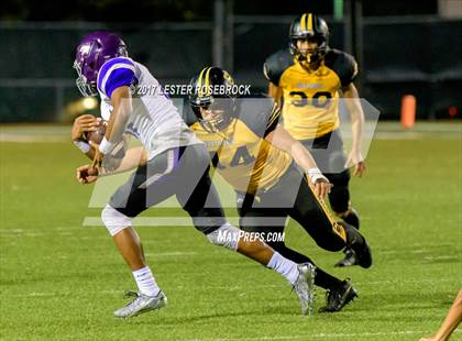 Thumbnail 3 in Warren @ Brennan photogallery.