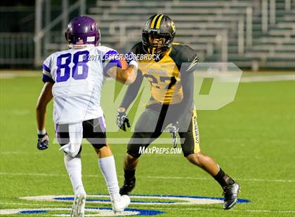 Thumbnail 1 in Warren @ Brennan photogallery.