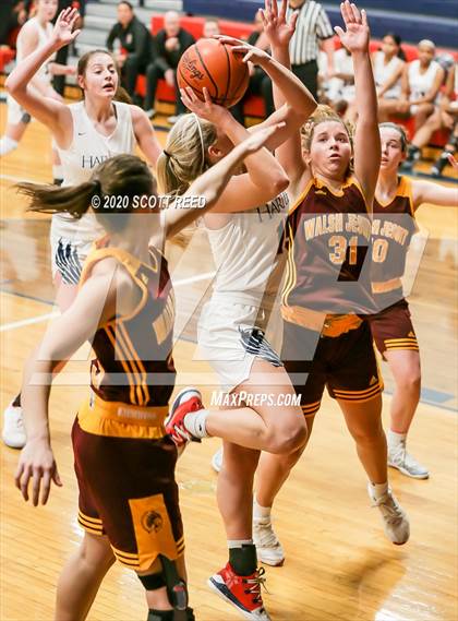 Thumbnail 1 in Walsh Jesuit @ Bishop Hartley photogallery.
