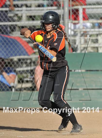 Thumbnail 1 in Pleasant Grove vs. Vacaville (CIF SJS Final - Game 1) photogallery.