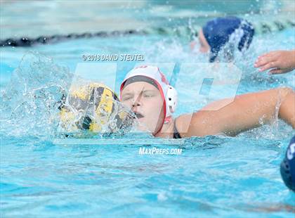 Thumbnail 2 in Antelope @ Inderkum photogallery.