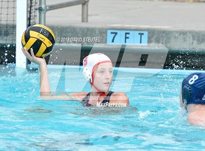 Thumbnail 2 in Antelope @ Inderkum photogallery.