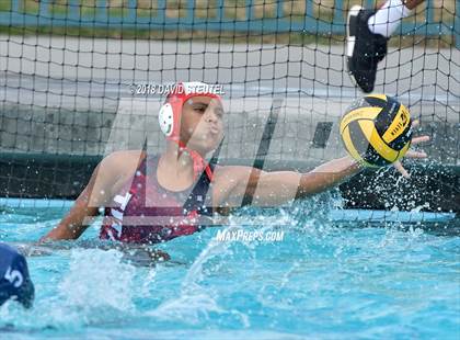 Thumbnail 1 in Antelope @ Inderkum photogallery.