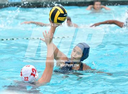 Thumbnail 1 in Antelope @ Inderkum photogallery.