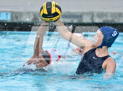 Thumbnail 2 in Antelope @ Inderkum photogallery.