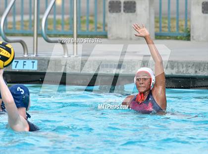 Thumbnail 3 in Antelope @ Inderkum photogallery.