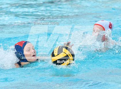 Thumbnail 1 in Antelope @ Inderkum photogallery.