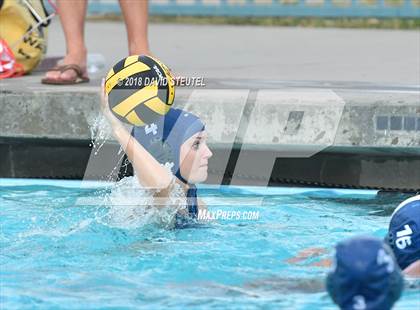 Thumbnail 2 in Antelope @ Inderkum photogallery.
