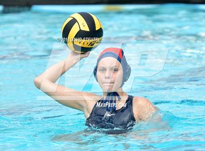 Thumbnail 1 in Antelope @ Inderkum photogallery.