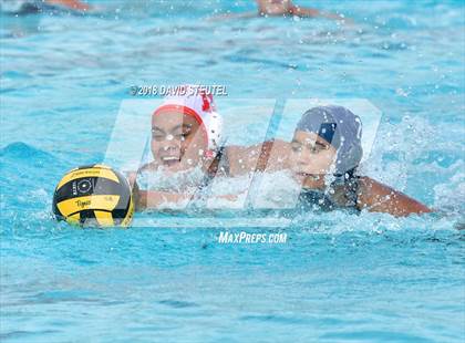 Thumbnail 3 in Antelope @ Inderkum photogallery.