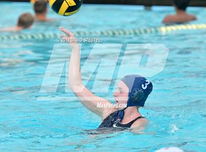 Thumbnail 2 in Antelope @ Inderkum photogallery.