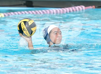 Thumbnail 3 in Antelope @ Inderkum photogallery.
