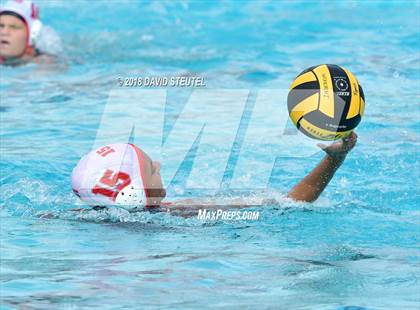 Thumbnail 2 in Antelope @ Inderkum photogallery.