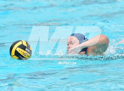 Thumbnail 3 in Antelope @ Inderkum photogallery.