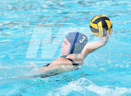 Thumbnail 3 in Antelope @ Inderkum photogallery.