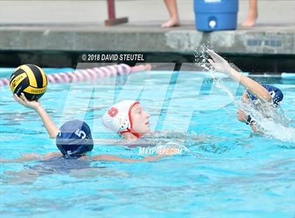 Thumbnail 2 in Antelope @ Inderkum photogallery.
