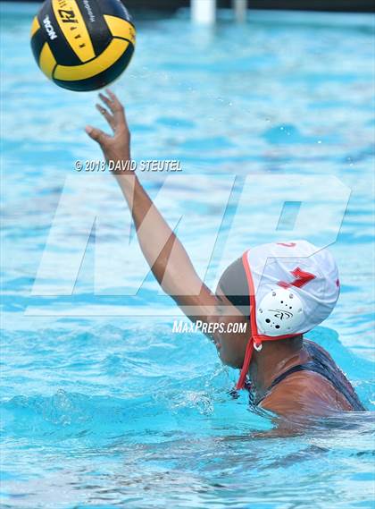 Thumbnail 3 in Antelope @ Inderkum photogallery.