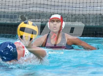 Thumbnail 3 in Antelope @ Inderkum photogallery.