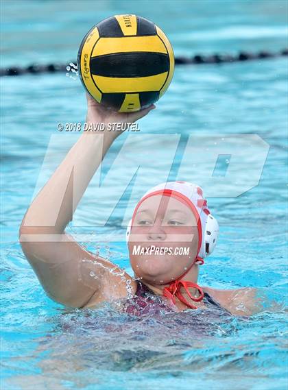 Thumbnail 3 in Antelope @ Inderkum photogallery.
