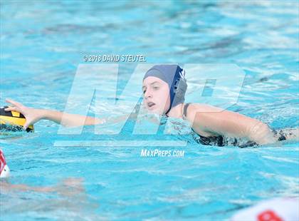 Thumbnail 1 in Antelope @ Inderkum photogallery.