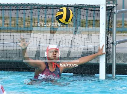 Thumbnail 1 in Antelope @ Inderkum photogallery.