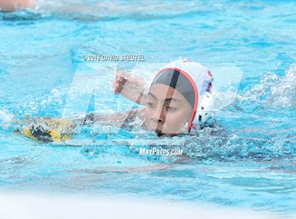 Thumbnail 3 in Antelope @ Inderkum photogallery.