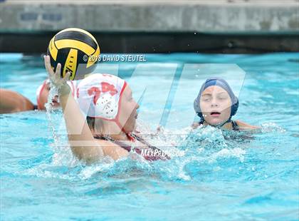 Thumbnail 2 in Antelope @ Inderkum photogallery.