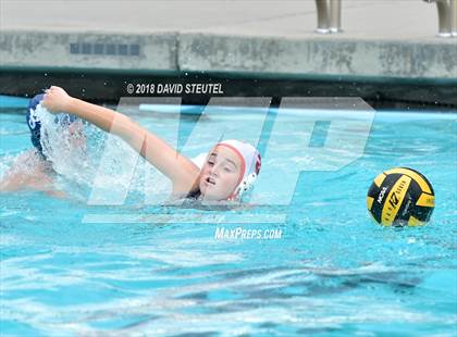 Thumbnail 3 in Antelope @ Inderkum photogallery.