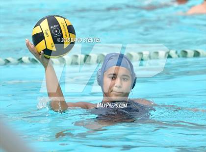 Thumbnail 1 in Antelope @ Inderkum photogallery.