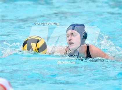 Thumbnail 2 in Antelope @ Inderkum photogallery.