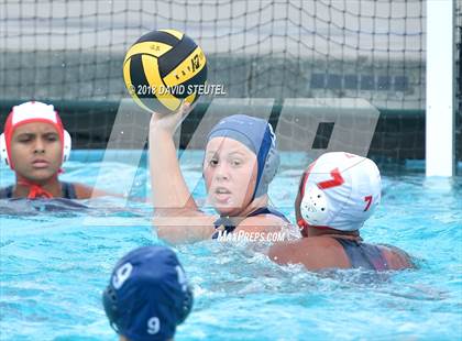 Thumbnail 2 in Antelope @ Inderkum photogallery.