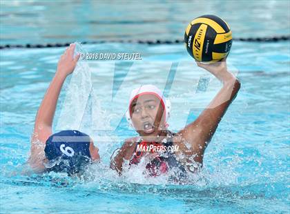 Thumbnail 3 in Antelope @ Inderkum photogallery.