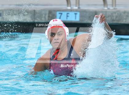 Thumbnail 3 in Antelope @ Inderkum photogallery.