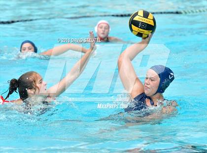 Thumbnail 1 in Antelope @ Inderkum photogallery.
