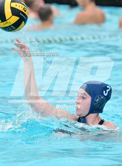 Thumbnail 3 in Antelope @ Inderkum photogallery.