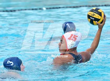 Thumbnail 2 in Antelope @ Inderkum photogallery.
