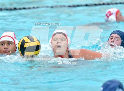 Thumbnail 1 in Antelope @ Inderkum photogallery.
