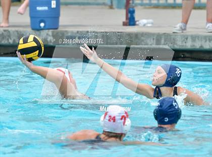 Thumbnail 3 in Antelope @ Inderkum photogallery.