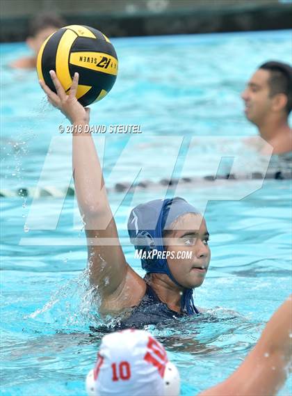 Thumbnail 2 in Antelope @ Inderkum photogallery.
