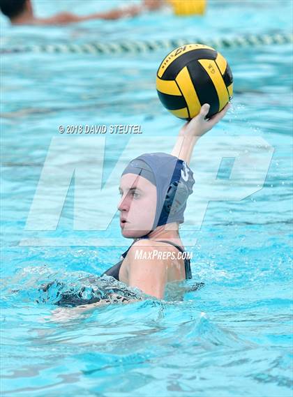 Thumbnail 2 in Antelope @ Inderkum photogallery.