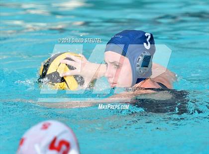 Thumbnail 1 in Antelope @ Inderkum photogallery.