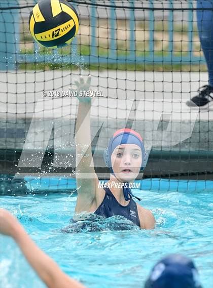 Thumbnail 1 in Antelope @ Inderkum photogallery.