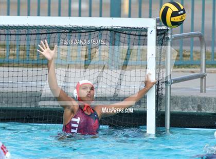 Thumbnail 3 in Antelope @ Inderkum photogallery.