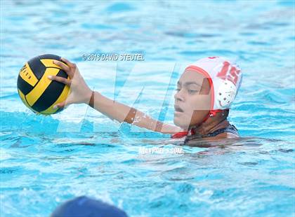 Thumbnail 2 in Antelope @ Inderkum photogallery.