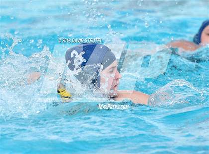 Thumbnail 2 in Antelope @ Inderkum photogallery.